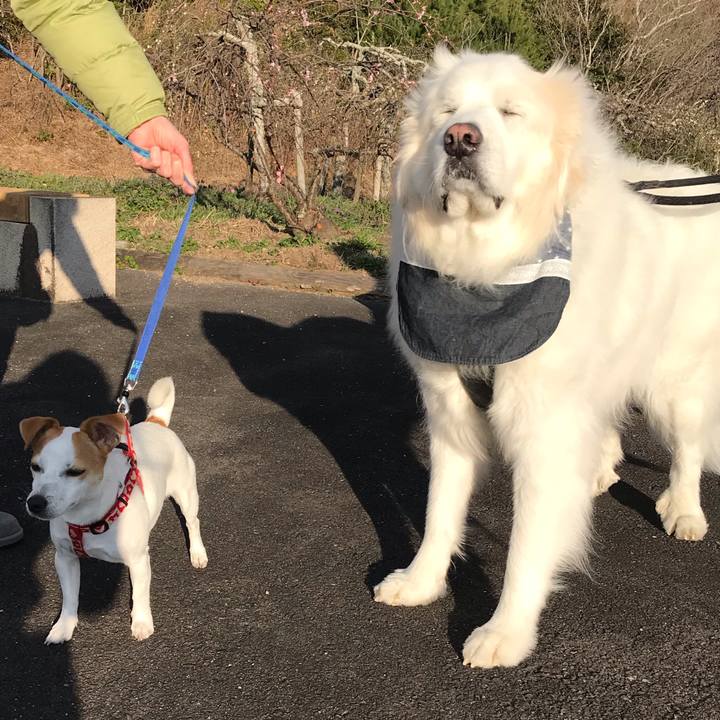 09f2f84e d4c7 45e0 94c7 bb1ee4363c1c 1582797048947