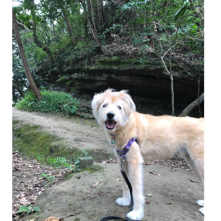 09f31104 0dd1 4ad9 97ad b62d0c7b2fcc 1600581210201