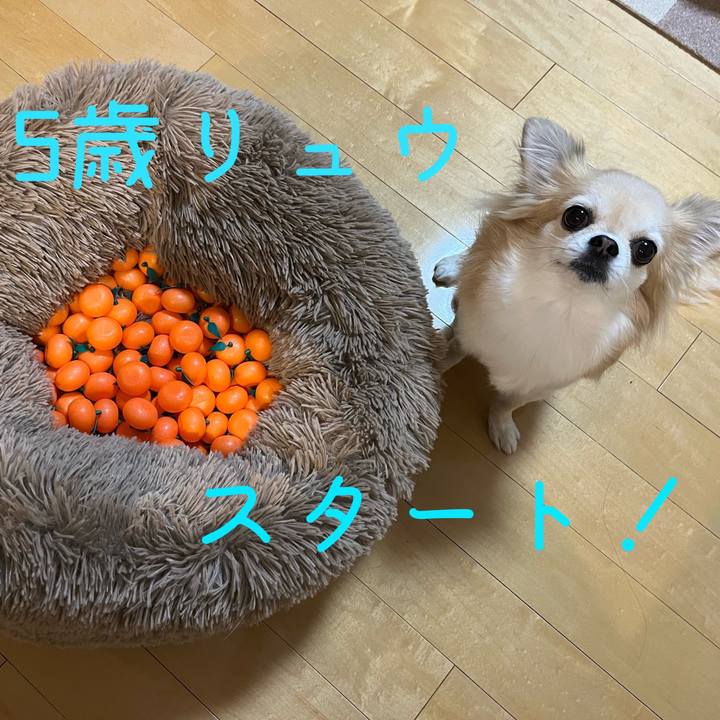 09f32db3 d9f9 418c a4e4 43eddf77517b 1677033202667