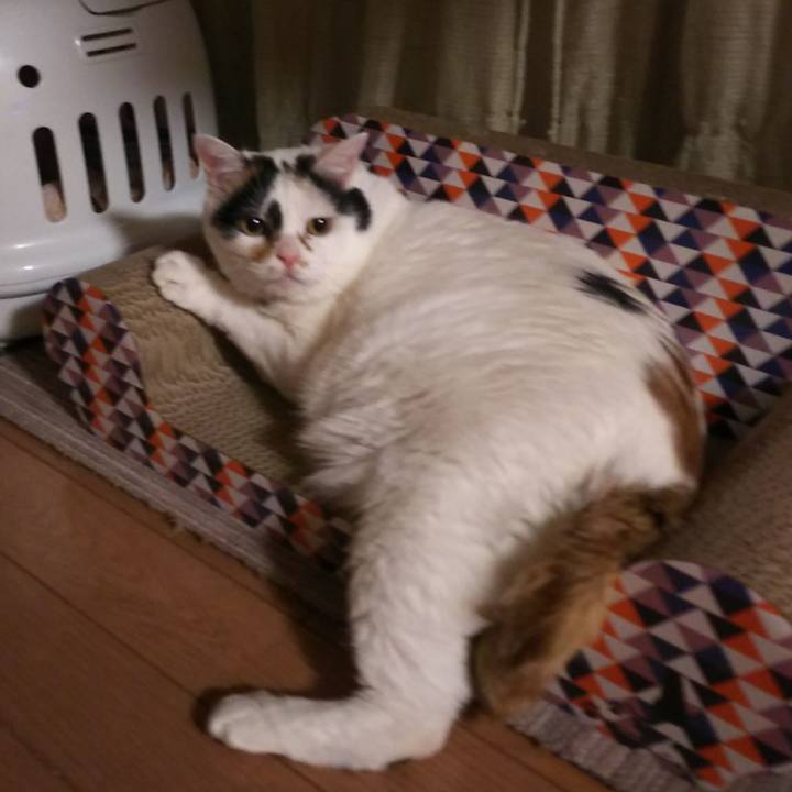 09f34ec8 a22c 4486 a02f e8df8037667b 1577274905373