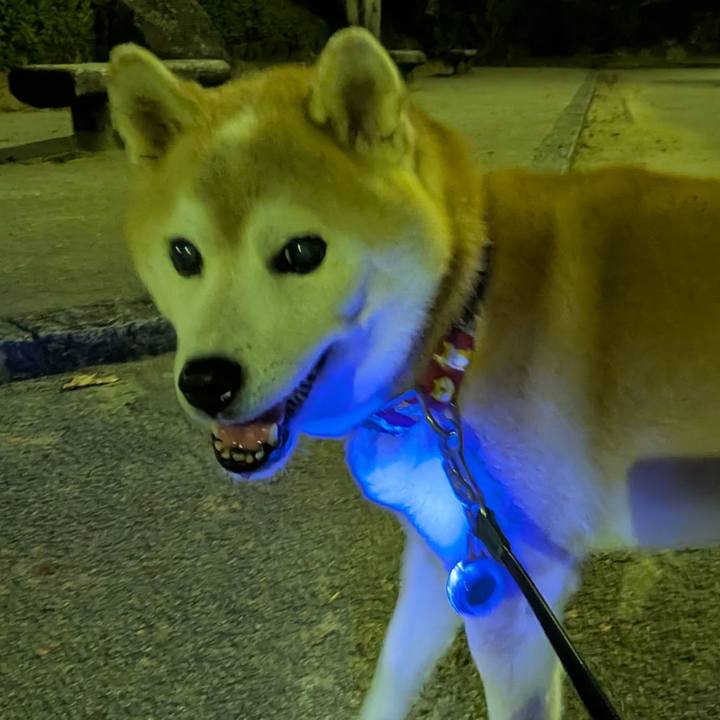 09f3850f 10e5 4767 bff3 2ba0039bd648 1763985666317