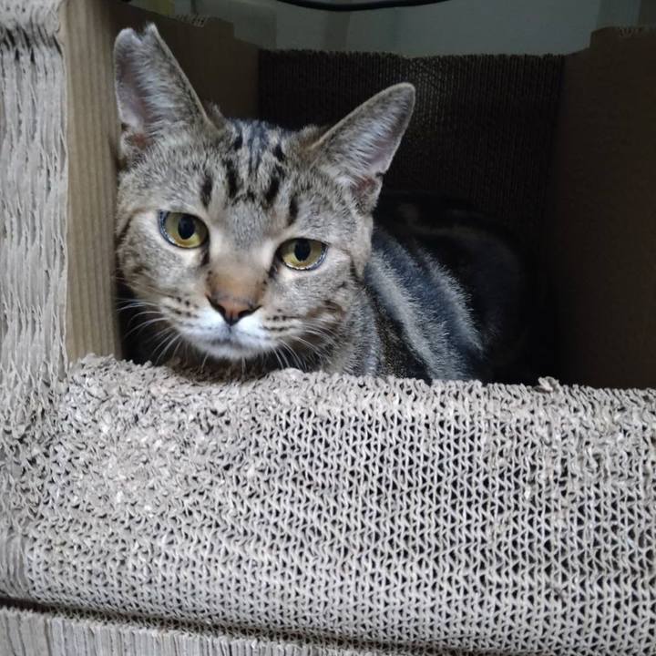 09f3b2f1 5d70 4a79 bf5e c7ab65503a8d 1697239072504