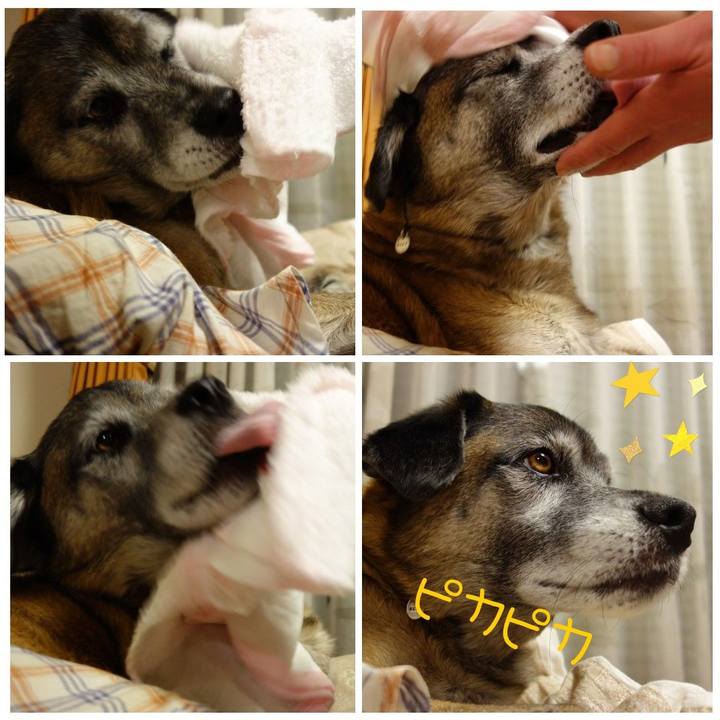 09f3c37a ae5f 4a95 8aa4 a1dc368d7fd0 1627352337684