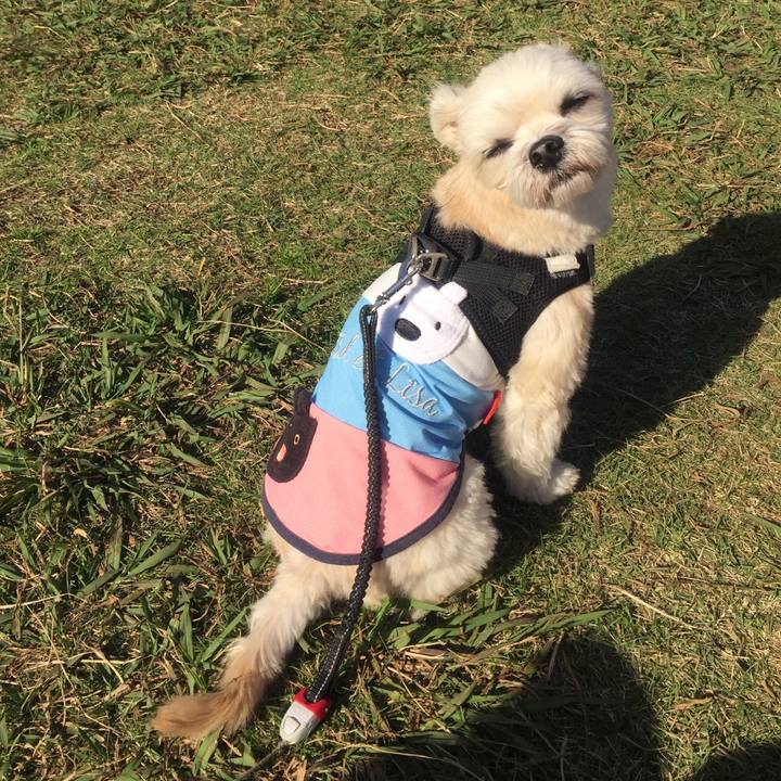 09f3d6ca d927 4cd4 9bda e9d7efd0aeea 1542450934383