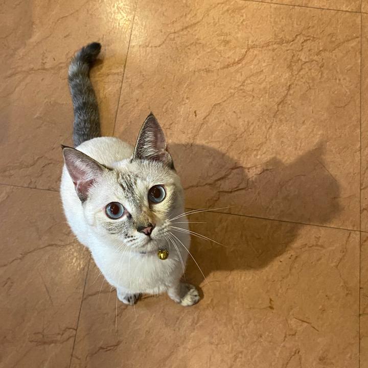 09f3db07 3dab 4a4f ba09 6d0b526de9de 1661074780793