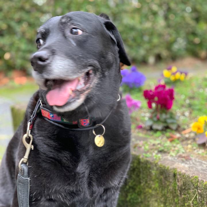 09f3df9b 048d 4c25 b248 7d766af35b07 1581723494938