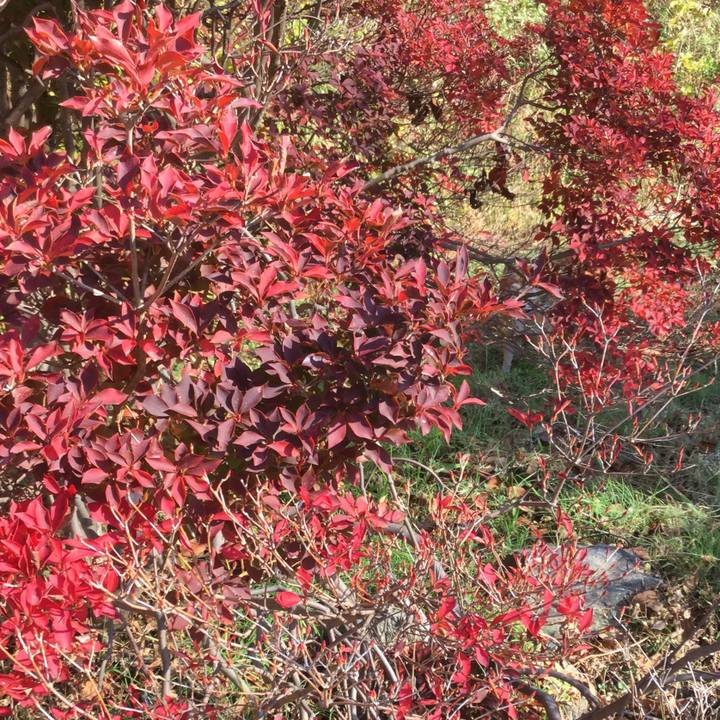 09f3fb41 ce41 48b6 9672 f6c7cff5096c 1606800179867