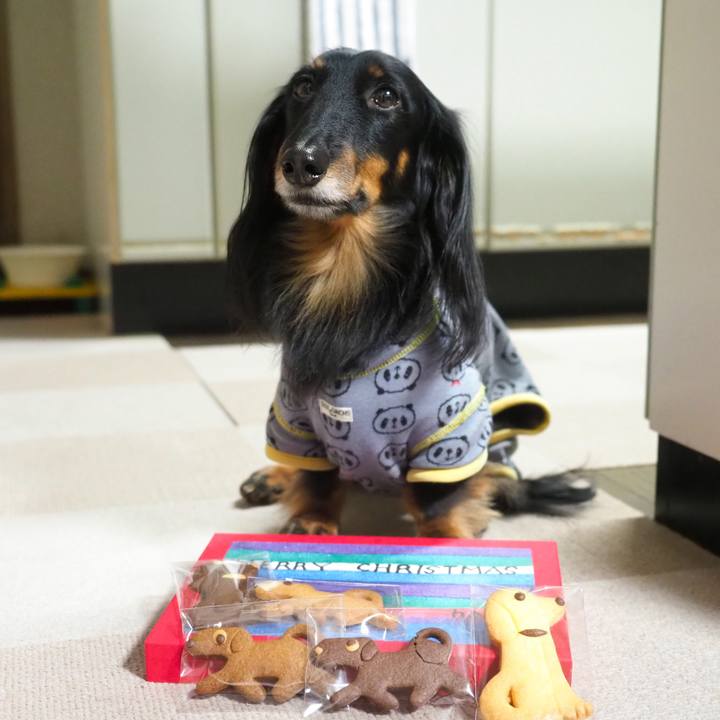 09f4624b 4a3d 4ca0 9dbf 950796289cf6 1640270115750