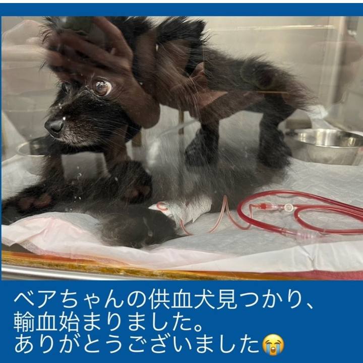 09f49991 47c5 4cfa 935d edff00ed9e43 1720343593357