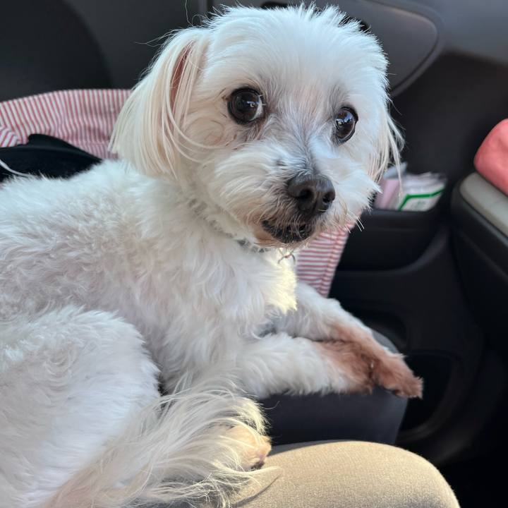 09f49a50 626c 4c4d b3cb b3002f4922e6 1731136443466