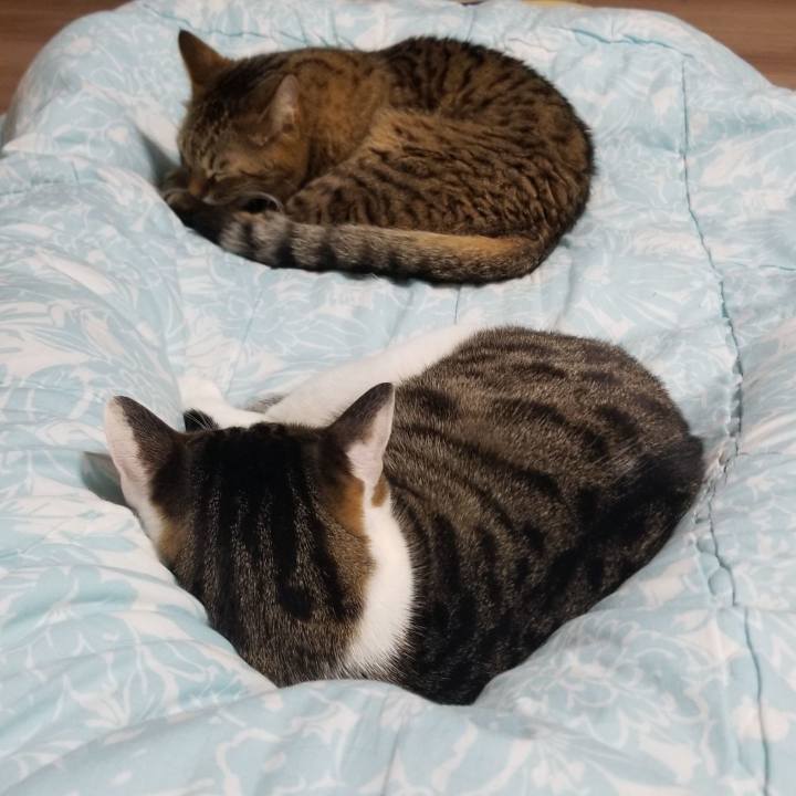 09f4aeb6 522d 429b b1d5 86200592e663 1553349768234