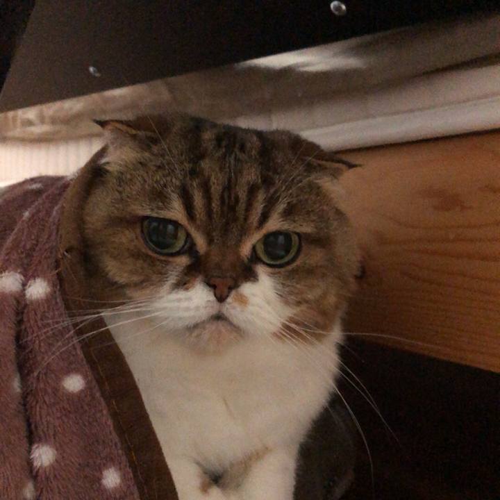 09f4b85e 17c1 439e ab48 8b6e6d7890a6 1539955934675