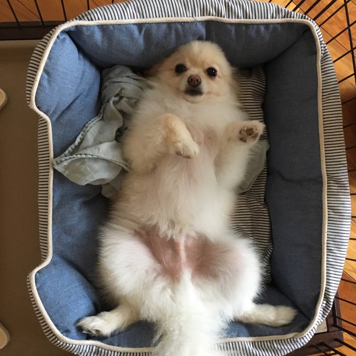 09f4baa8 b619 41c0 99e1 0338a31ca13d 1534148844552