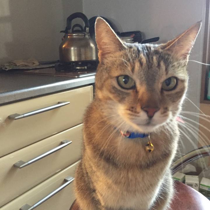 09f4c56c 12d6 4c7d a2ce 1f785c061b64 1555449258254