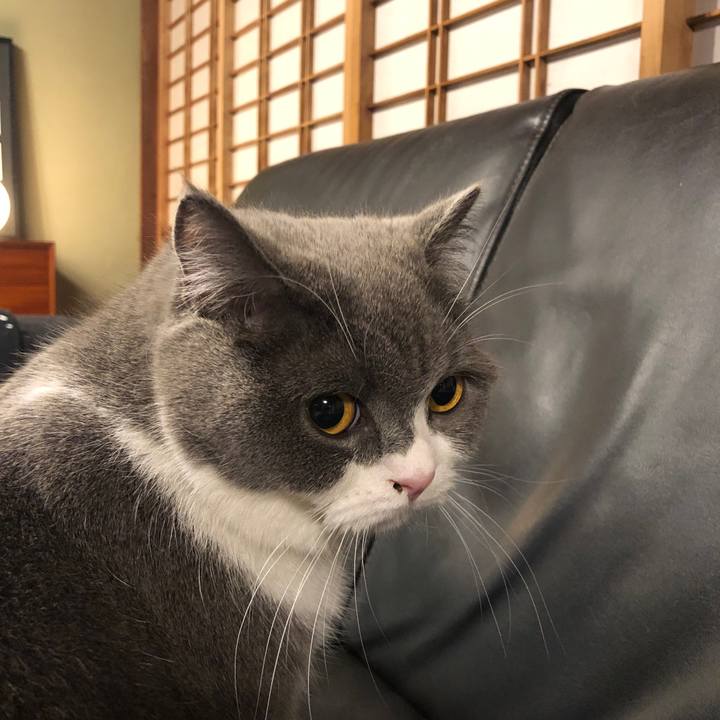 09f50453 ed6a 4622 8b01 622aae8723d6 1555418928838