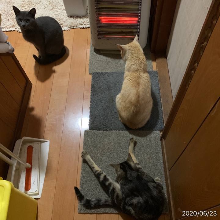 09f554d1 fe01 42cd 9e96 7d88a769ec82 1592862388308