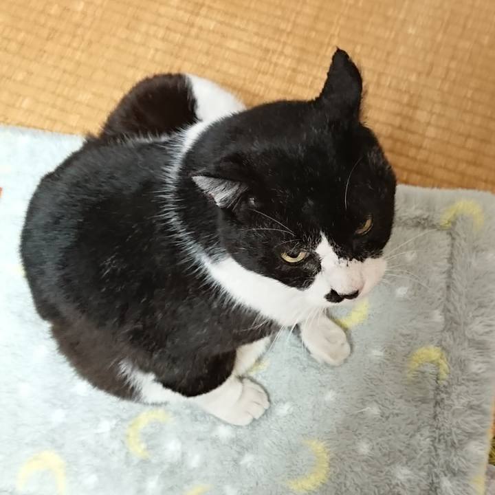 09f57888 9212 4573 841d 3ad366ff73f9 1646262978881