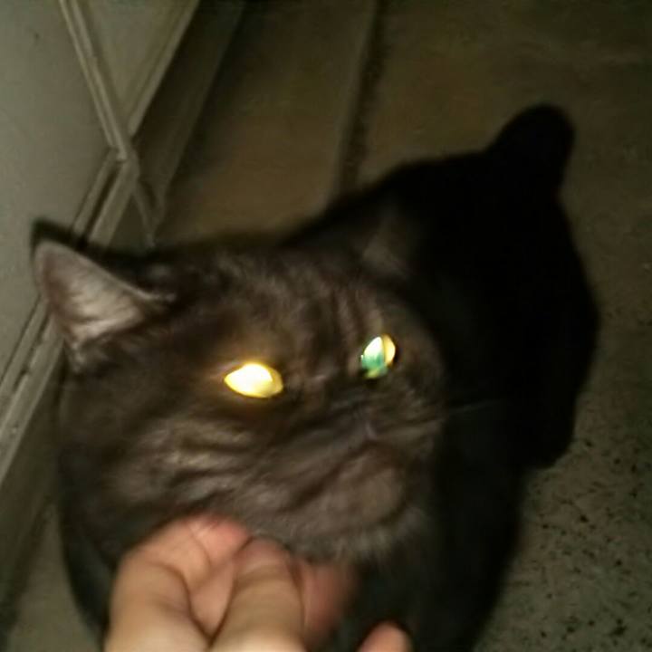 09f57a2c 8ad4 43d4 aeb8 740740b3fe3a 1510231825702