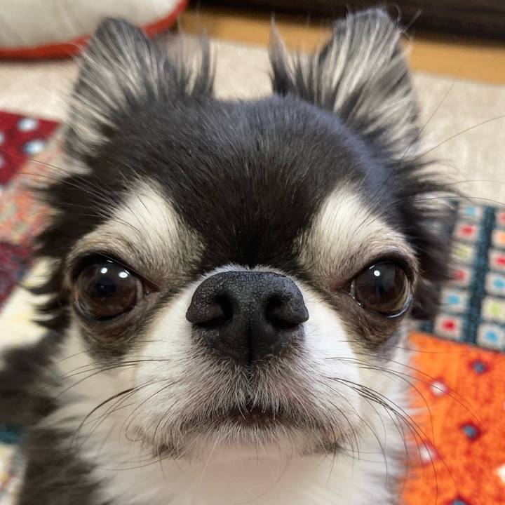 09f5c641 e93f 4eab a0a5 0239c9c9134c 1697240032312