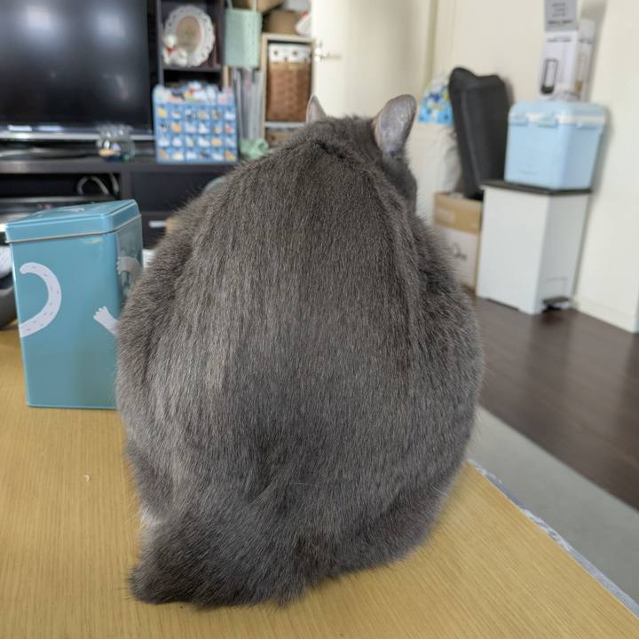 09f5e314 30c8 4fda b5ac fa332c283255 1770345884732