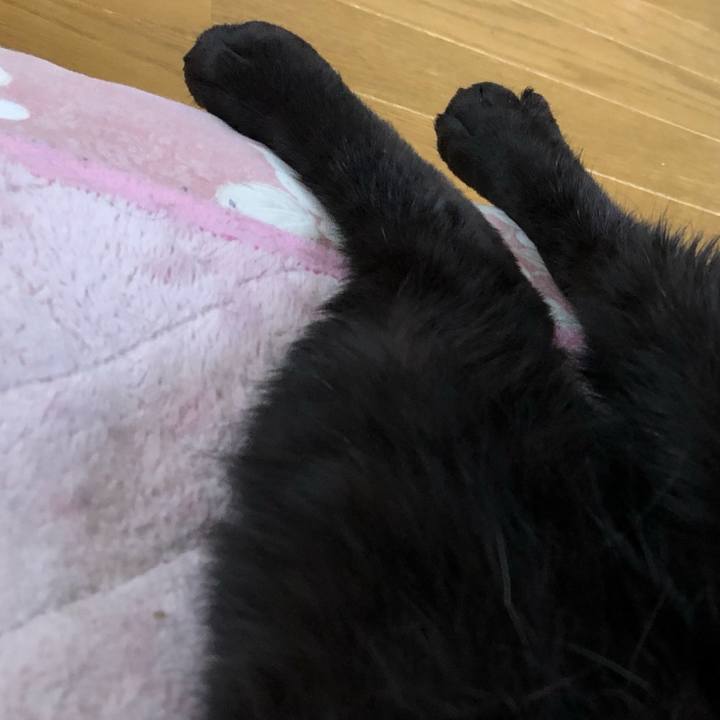 09f611fc df6d 4d56 ba6e 3acfc724df7b 1563830587000