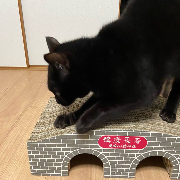 09f68625 5e96 426f 81a5 51e40ab7969e 1645876481992