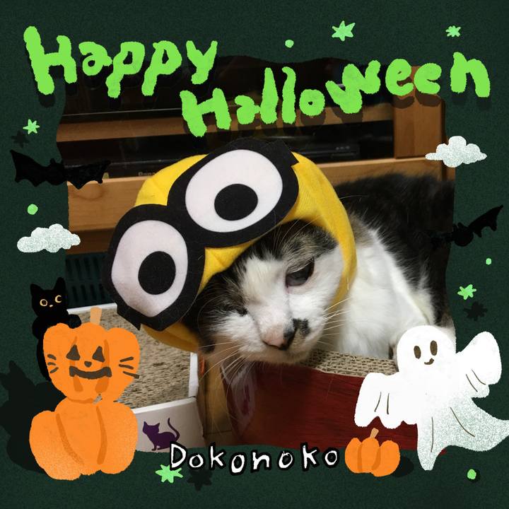 09f6bfd8 321c 4939 aed7 bf585c9c15cd 1730084254932