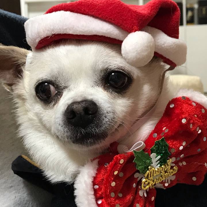 09f6e332 78ab 460d a747 31bd1b650faa 1608890615450