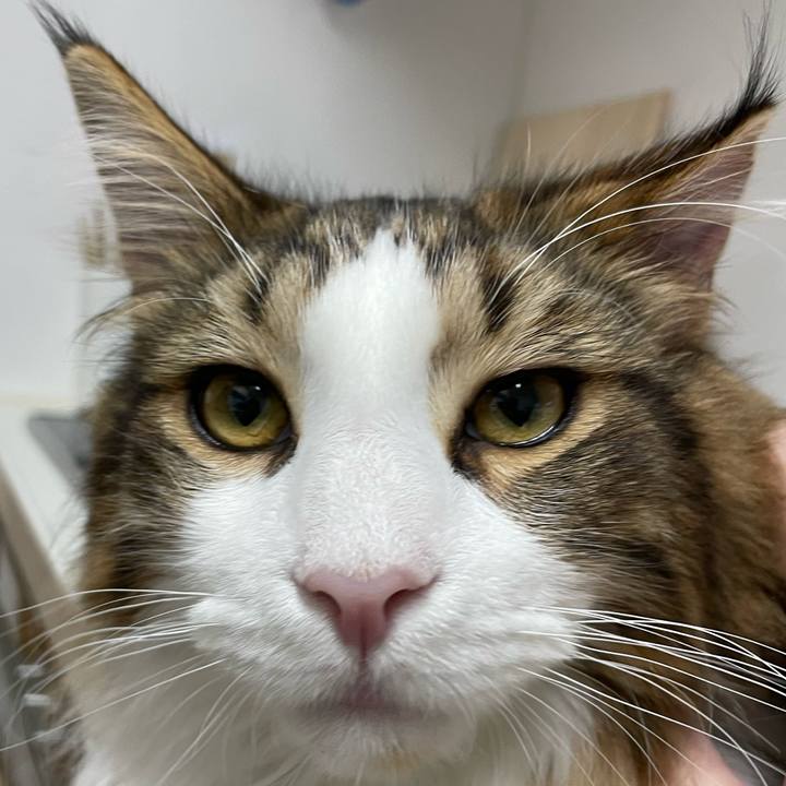 09f701fe 020d 4204 90fb 65e1cbf8f6c6 1643892718463