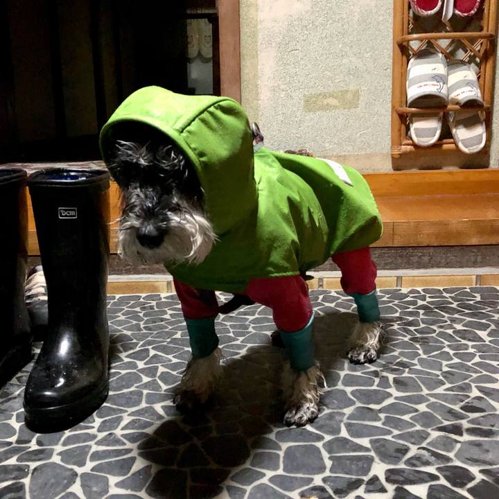 09f7125a 56e5 4d44 958f 784b4d67cc07 1675257422340