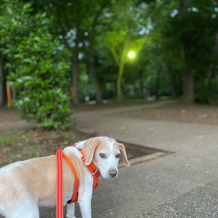 09f715d9 0cdd 405b a63a 673d3a07ed05 1623148982249