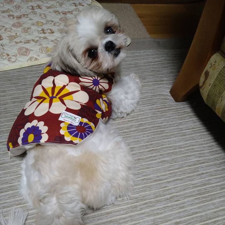 09f71df2 67b1 42e8 8c6b 2d9406b36662 1608719746831