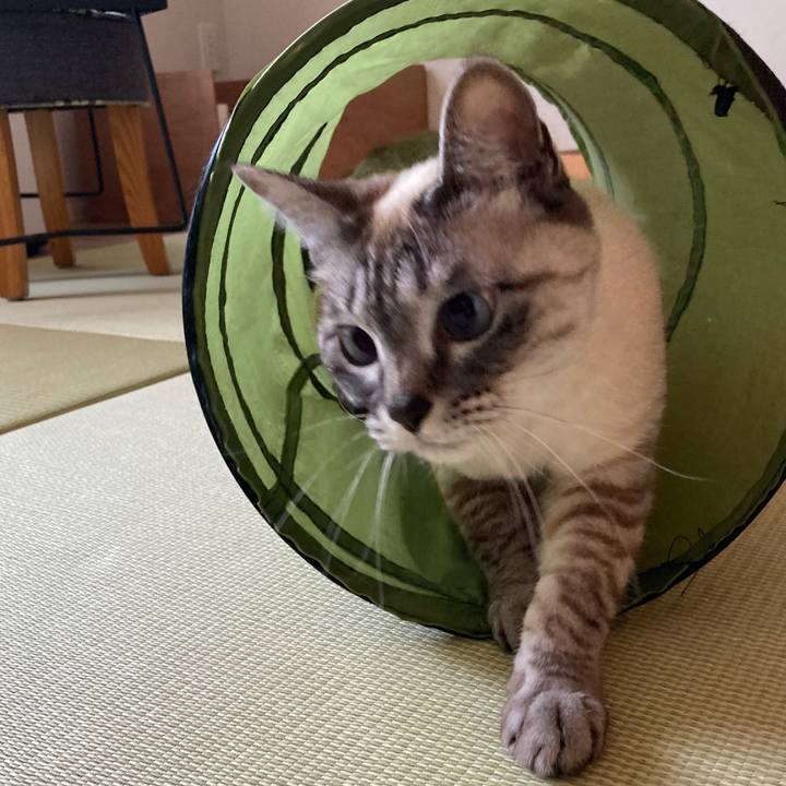 09f7259a 99be 4b97 9329 013ea798fb96 1647049286413