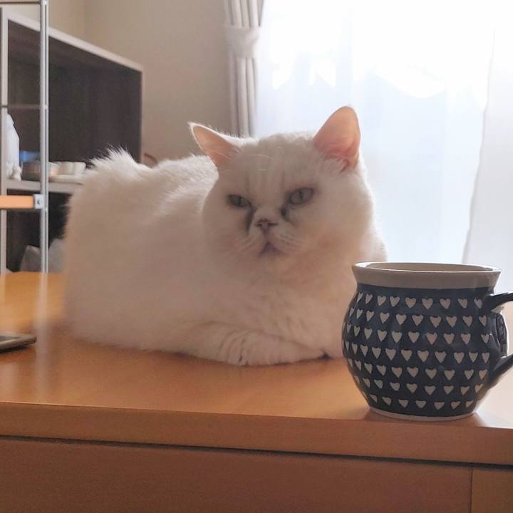 09f740be 3e66 4fd3 8536 e9ddc260363a 1699056375555