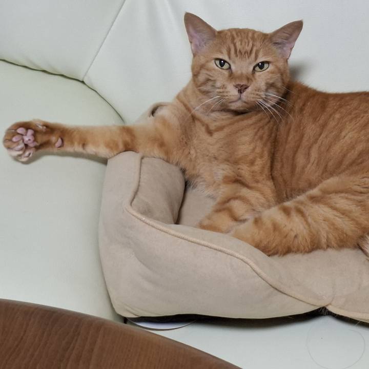 09f791a6 60b5 4921 bef0 d5c728f49ddb 1727692912459