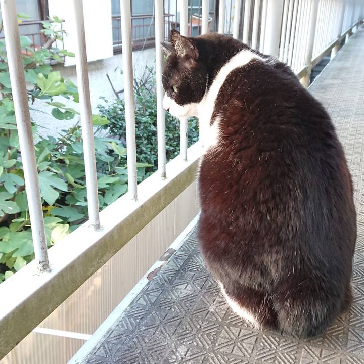 09f7bd41 0395 408f 814f 22d13a224568 1605936589738