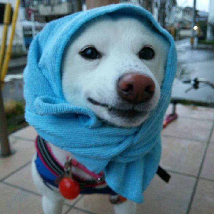 09f7eb71 6e45 467c 89a2 bf10b6a74a58 1554888410346