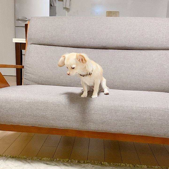 09f82a15 8402 4acf b180 74112bc6ff0b 1604659749633