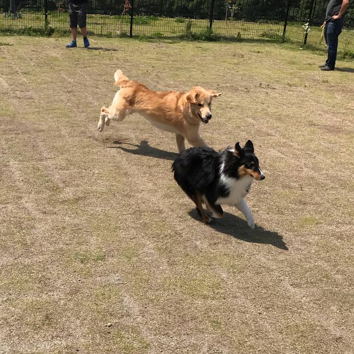 09f8431e bfc5 4129 af9b 52fe56b7cf7b 1529814049142