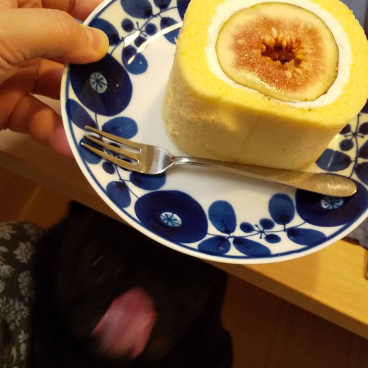 09f876ea 8f1e 40e1 9f0c 1af0048bcb1a 1595682689621