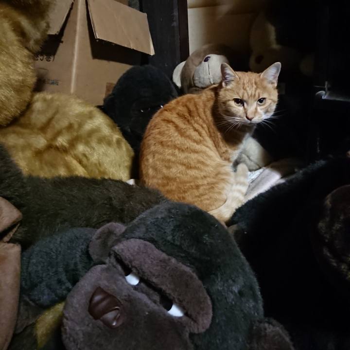 09f87c74 100d 4468 ad21 1bc873cf8081 1607596458778