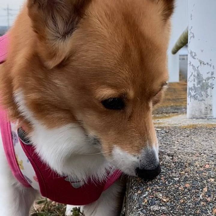 09f899cf 496b 4301 a444 9a5019063852 1674524807272