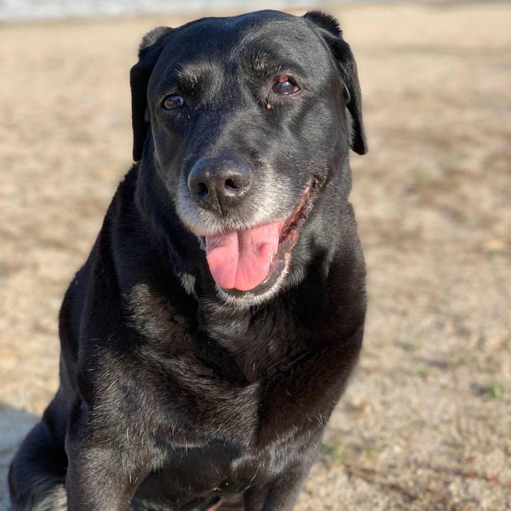 09f8ac1f 84d3 4013 811f 0237bfe5ee52 1555716701687