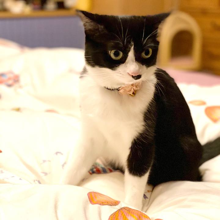 09f8dc44 8bb4 4fa3 9281 ae1d47c15156 1590631863225