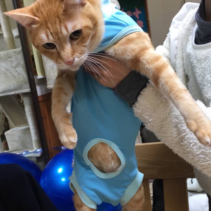 09f92e7e 2ec4 4f1e 96ef 375c97938231 1520252393407