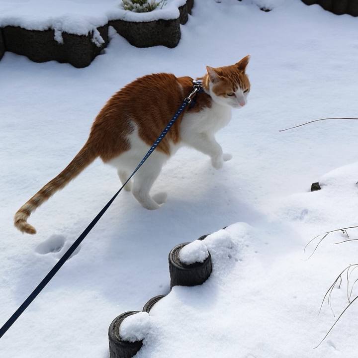 09f93b4e 3999 4fae bc86 cc6fd2a98632 1548474706638