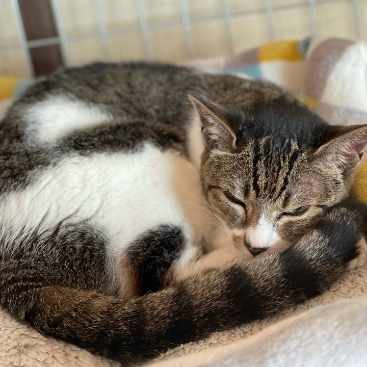 09f988f1 6e34 460a ba2d fb52f61b26d4 1624583663326