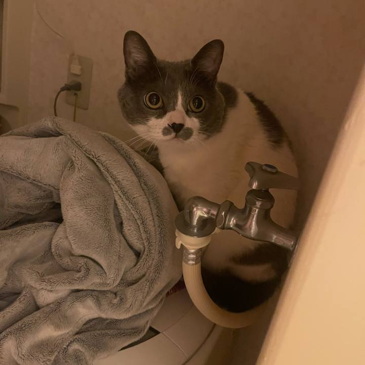 09f99561 7637 484d 8019 e25c86d26dac 1744813489500