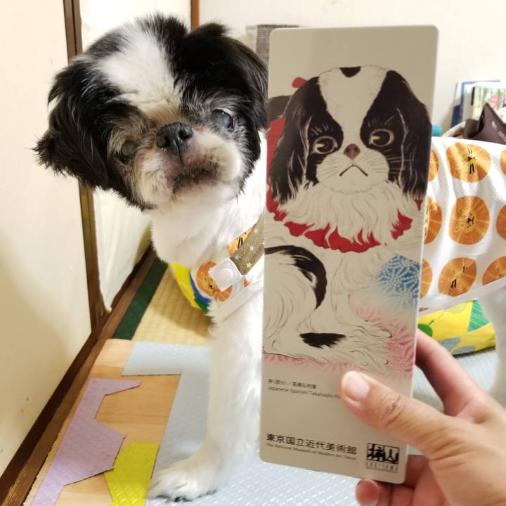 09f99e1a 1413 4ec9 a3b1 77e42381bd30 1625573750756