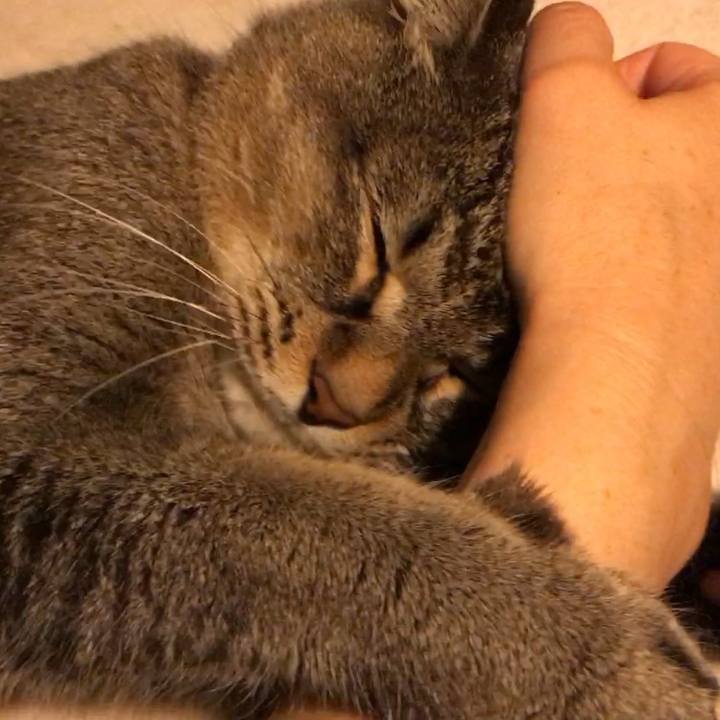 09f9a137 61b8 496d a70c 93f8f2b11ba1 1559665572530